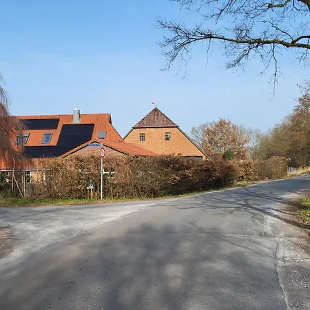 Eulennest *